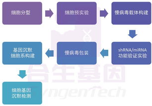 基因沉默技術(shù) 合生基因在基因調(diào)控中的前沿應(yīng)用與研究突破